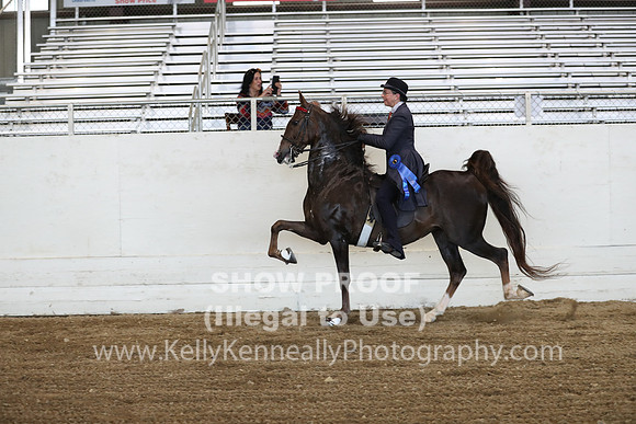 CA_Springfest19_ThursPM_8765