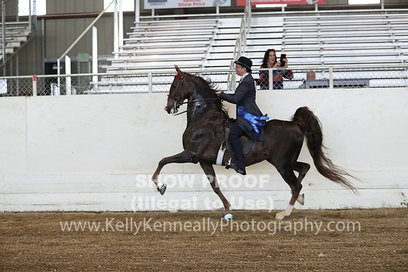 CA_Springfest19_ThursPM_8769