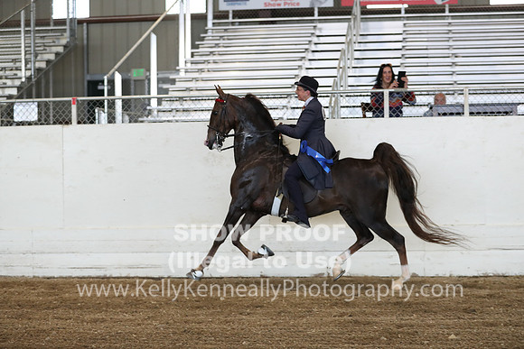 CA_Springfest19_ThursPM_8770