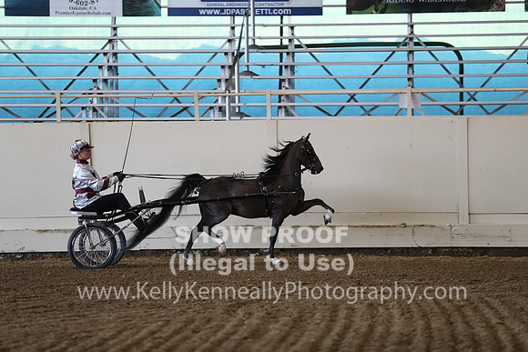 CA_Springfest19_ThursPM_8582