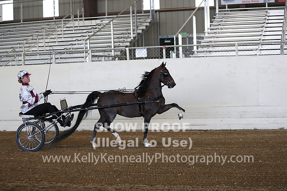 CA_Springfest19_ThursPM_8578