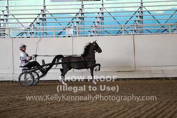 CA_Springfest19_ThursPM_8581