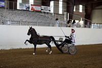 CA_Springfest19_ThursPM_8591