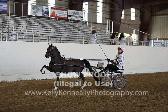 CA_Springfest19_ThursPM_8591