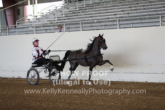 CA_Springfest19_ThursPM_8586