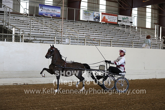 CA_Springfest19_ThursPM_8592