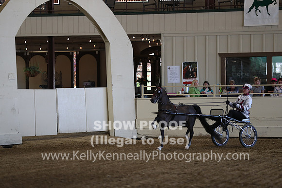 CA_Springfest19_ThursPM_8594