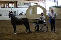 CA_Springfest19_ThursPM_8602