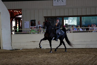 Class 21 ASB Five Gaited Open
