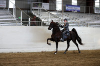 CA_Springfest19_ThursPM_8985