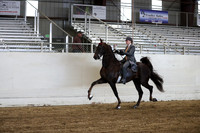 CA_Springfest19_ThursPM_8986