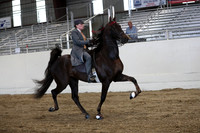 CA_Springfest19_ThursPM_8993