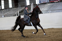 CA_Springfest19_ThursPM_8994
