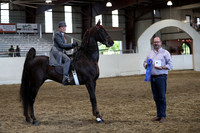 CA_Springfest19_ThursPM_8997