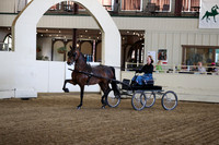 Class 39 Morgan Park Harness Open