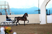 CA_Springfest19_ThursPM_8297