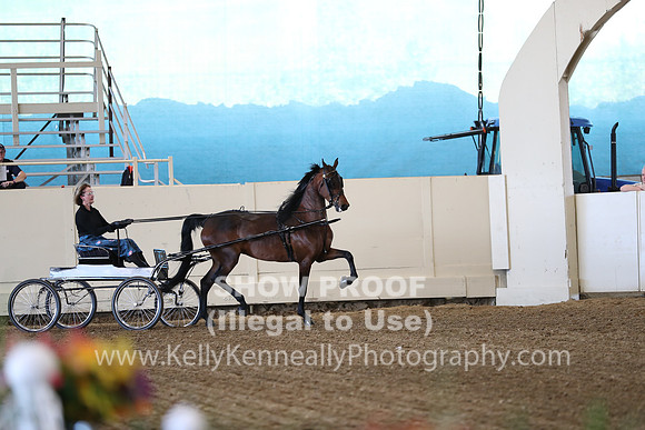 CA_Springfest19_ThursPM_8297