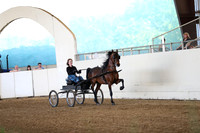 CA_Springfest19_ThursPM_8301