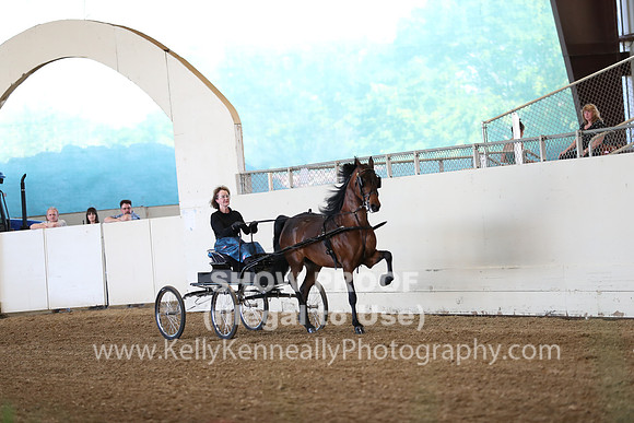 CA_Springfest19_ThursPM_8301
