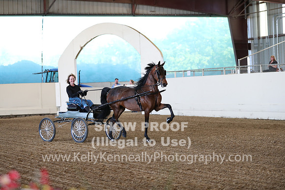 CA_Springfest19_ThursPM_8305