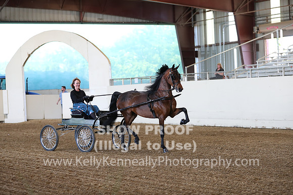 CA_Springfest19_ThursPM_8306