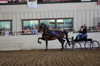 CA_Springfest19_ThursPM_8309