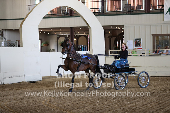 CA_Springfest19_ThursPM_8310