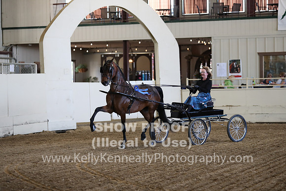 CA_Springfest19_ThursPM_8311
