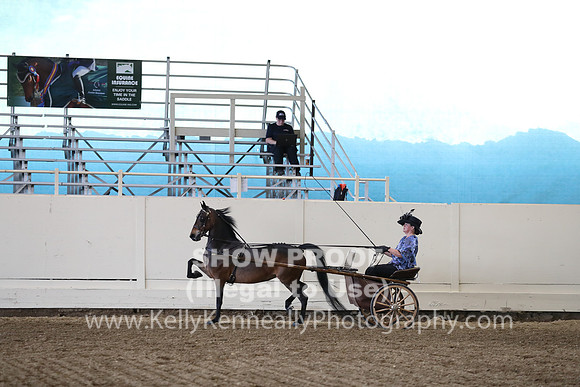 CA_Springfest19_ThursPM_8875