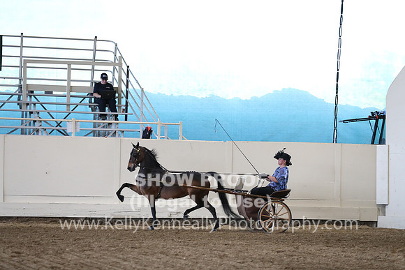 CA_Springfest19_ThursPM_8874
