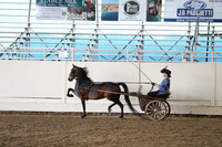 CA_Springfest19_ThursPM_8878