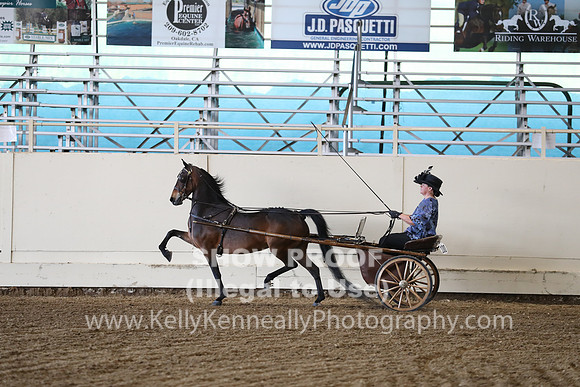 CA_Springfest19_ThursPM_8877