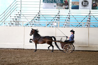 CA_Springfest19_ThursPM_8879