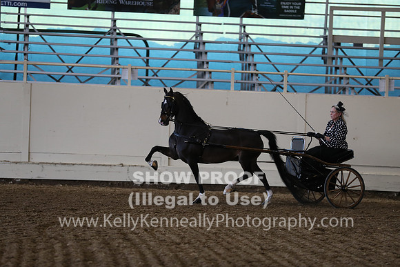 CA_Springfest19_ThursPM_8881