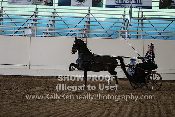 CA_Springfest19_ThursPM_8883
