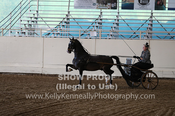 CA_Springfest19_ThursPM_8884