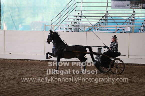 CA_Springfest19_ThursPM_8885