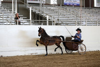 CA_Springfest19_ThursPM_8886