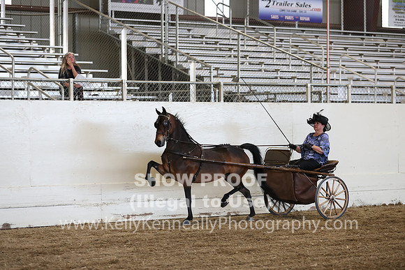 CA_Springfest19_ThursPM_8886