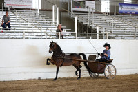 CA_Springfest19_ThursPM_8887