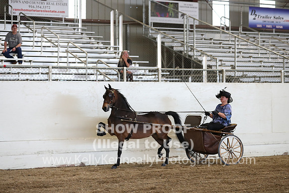 CA_Springfest19_ThursPM_8887