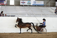 CA_Springfest19_ThursPM_8889
