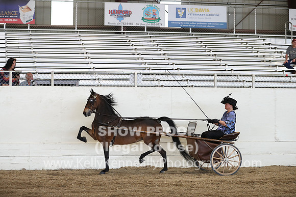 CA_Springfest19_ThursPM_8889