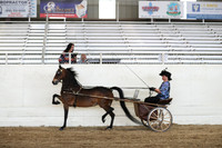 CA_Springfest19_ThursPM_8890