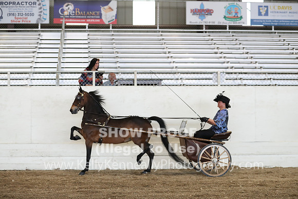 CA_Springfest19_ThursPM_8890