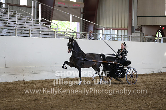 CA_Springfest19_ThursPM_8893