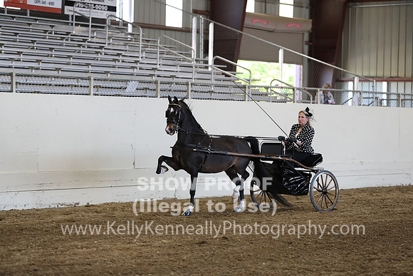 CA_Springfest19_ThursPM_8894