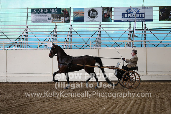 CA_Springfest19_ThursPM_8948