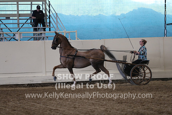 CA_Springfest19_ThursPM_8949