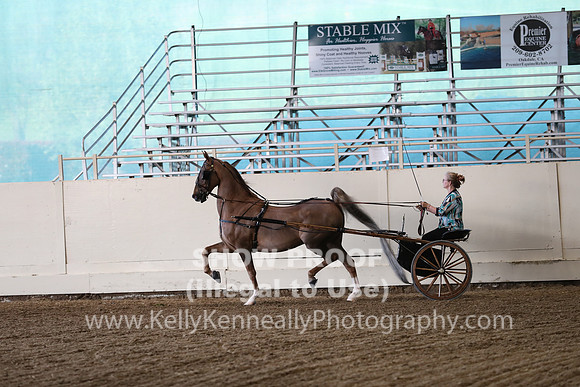 CA_Springfest19_ThursPM_8950